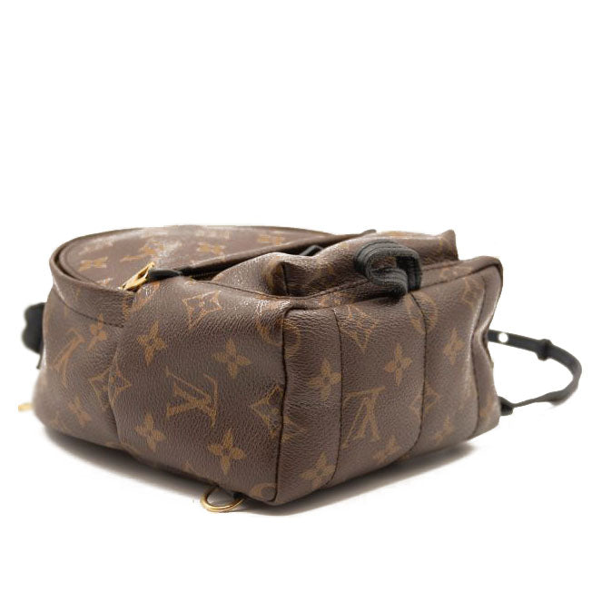 Louis Vuitton Monogram Palm Springs Backpack Mini