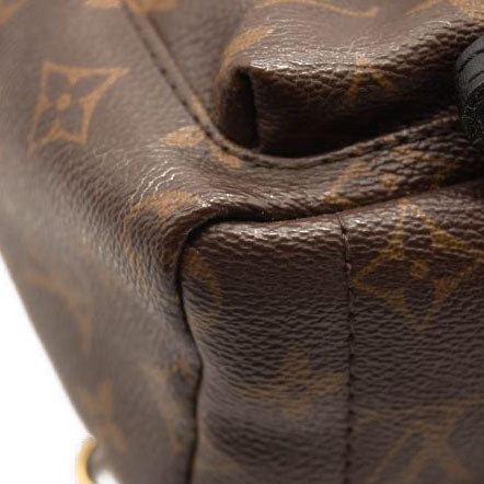 Louis Vuitton Monogram Palm Springs Backpack Mini