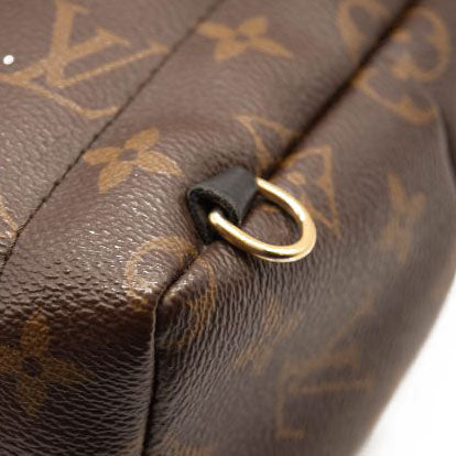 Louis Vuitton Monogram Palm Springs Backpack Mini