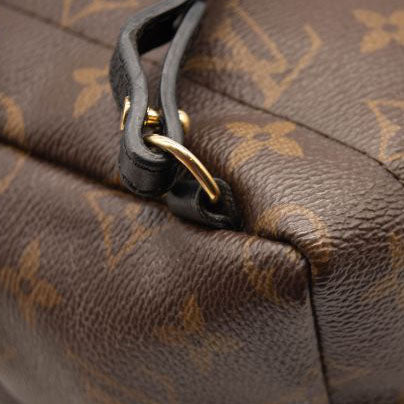 Louis Vuitton Monogram Palm Springs Backpack Mini