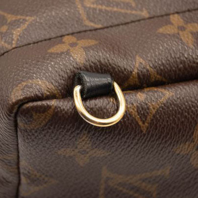 Louis Vuitton Monogram Palm Springs Backpack Mini