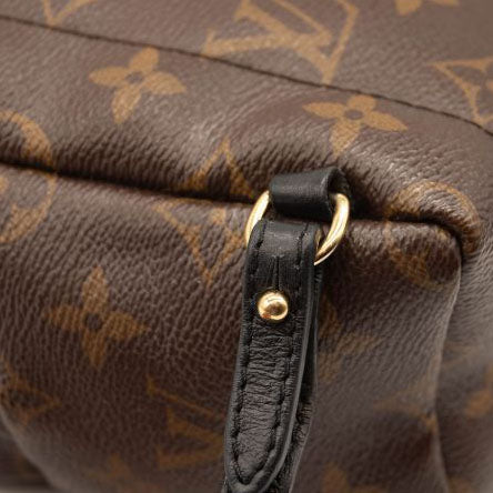 Louis Vuitton Monogram Palm Springs Backpack Mini