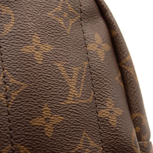 Louis Vuitton Monogram Palm Springs Backpack Mini