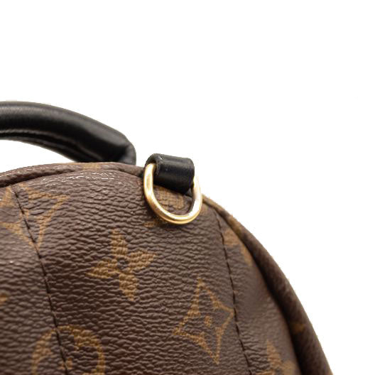 Louis Vuitton Monogram Palm Springs Backpack Mini