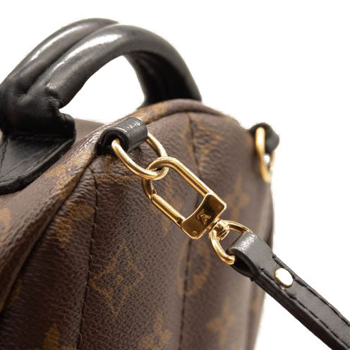 Louis Vuitton Monogram Palm Springs Backpack Mini