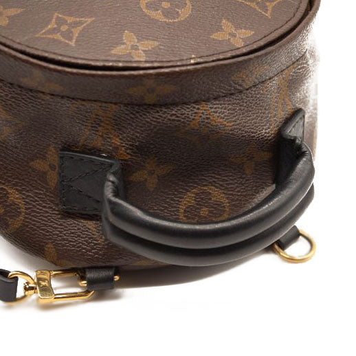 Louis Vuitton Monogram Palm Springs Backpack Mini