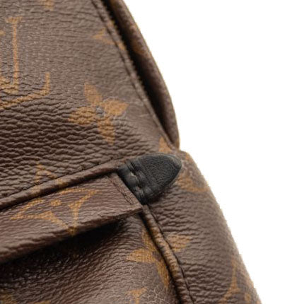 Louis Vuitton Monogram Palm Springs Backpack Mini