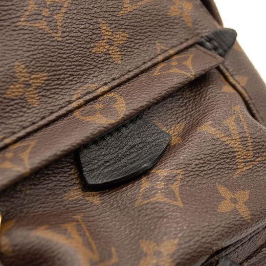 Louis Vuitton Monogram Palm Springs Backpack Mini