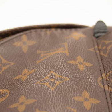 Louis Vuitton Monogram Palm Springs Backpack Mini