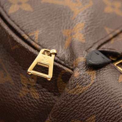 Louis Vuitton Monogram Palm Springs Backpack Mini