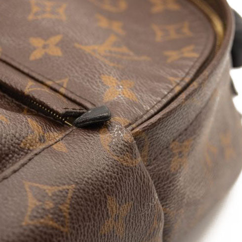 Louis Vuitton Monogram Palm Springs Backpack Mini