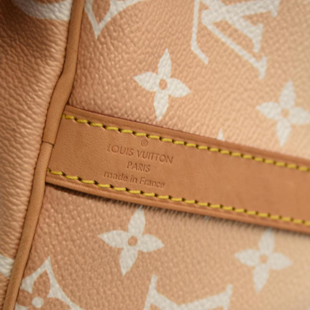 Louis Vuitton  Monogram Giant By The Pool Speedy Bandouliere 25 Brume
