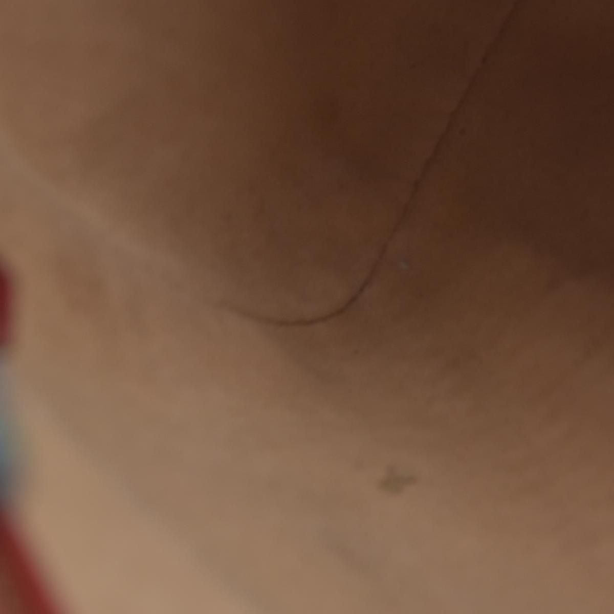 $1390 Gucci GG Supreme Monogram Blooms Small Boston Beige Blue Navy Hibiscus Red