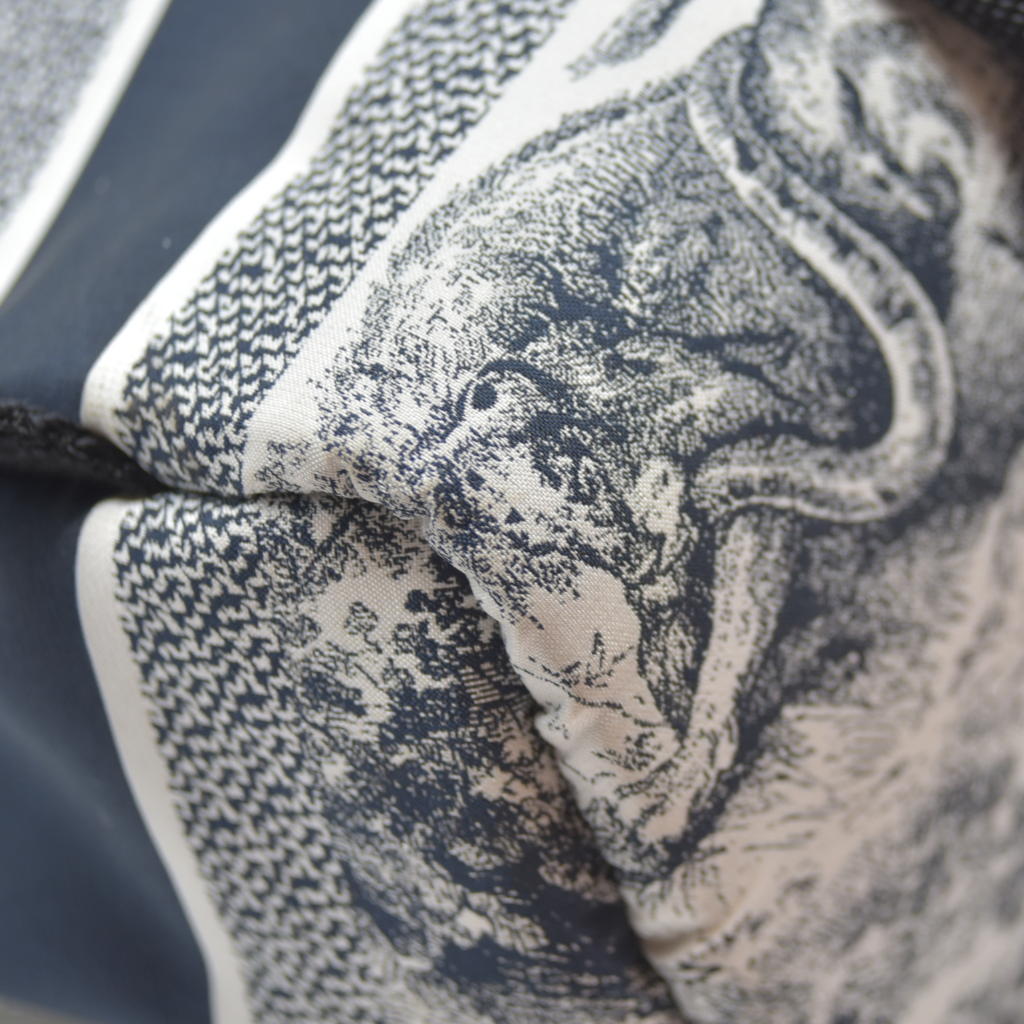 Christian Dior Nylon Technical Fabric Toile De Jouy Small Diortravel Backpack Blue