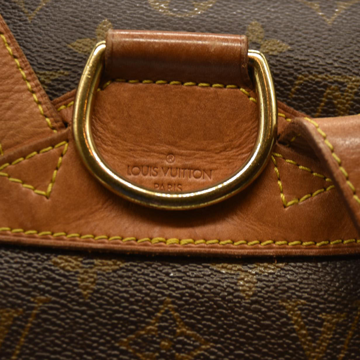 Louis Vuitton Monogram  Montsouris Backpack MM SP1917