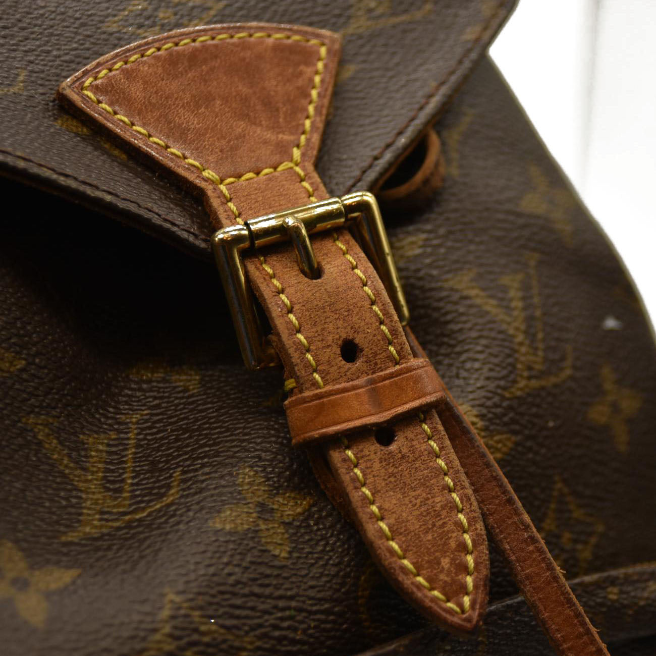 Louis Vuitton Monogram  Montsouris Backpack MM SP1917