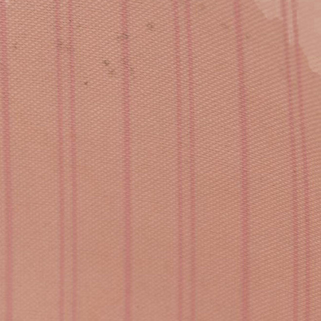 $2200 Louis Vuttion Damier Azur Neverfull MM Rose Ballerine