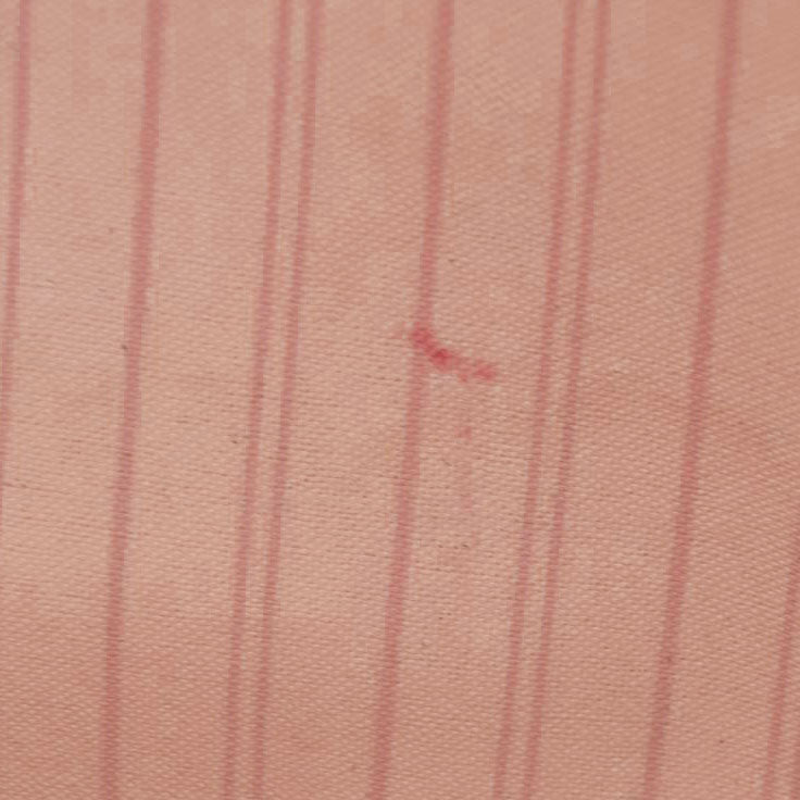 $2200 Louis Vuttion Damier Azur Neverfull MM Rose Ballerine