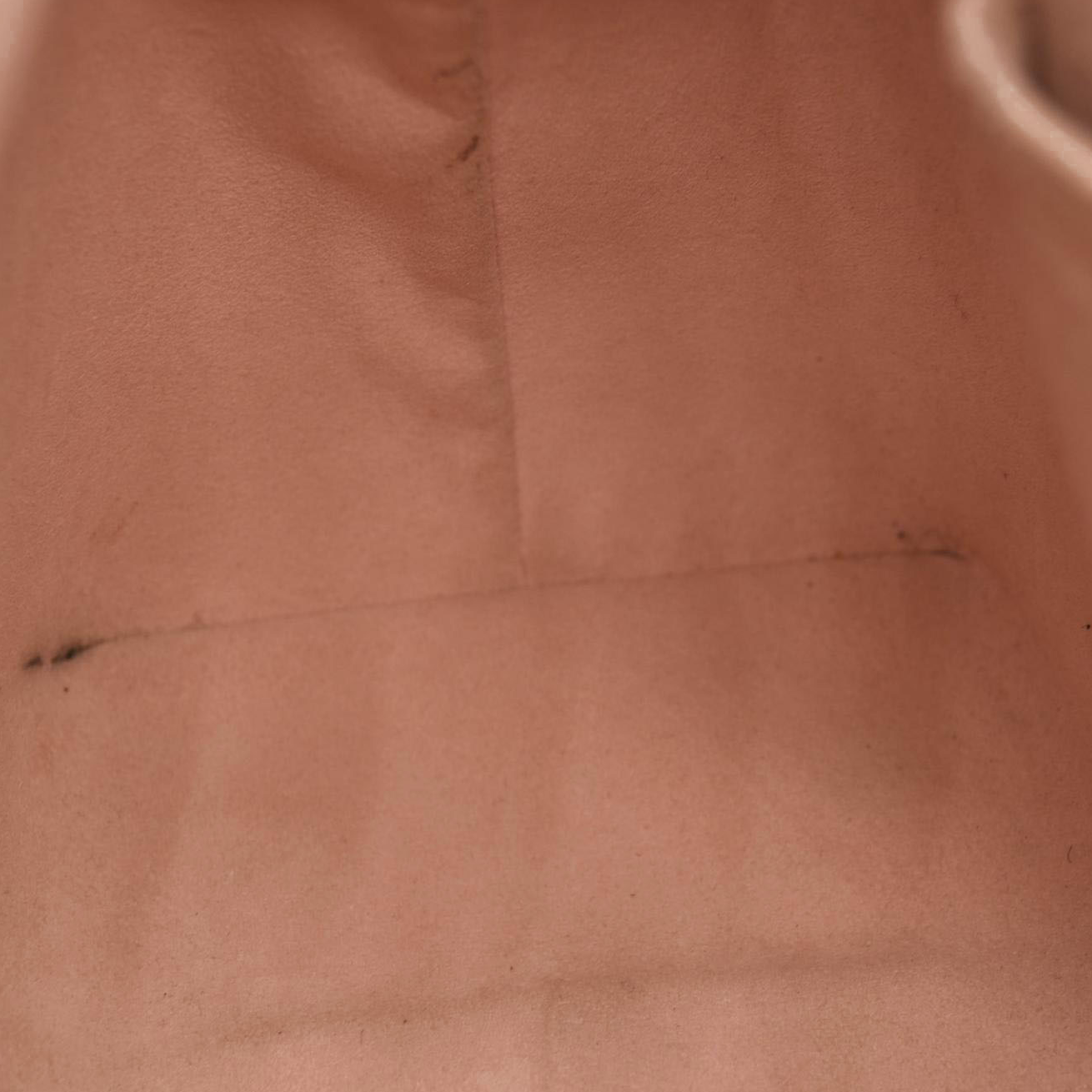 Louis Vuitton Damier Ebene Caissa Hobo Rose Ballerine