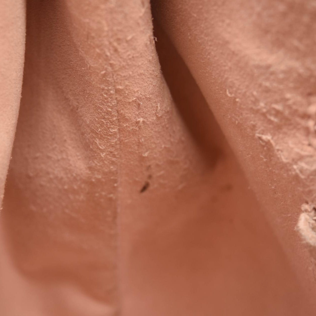 Louis Vuitton Damier Ebene Caissa Hobo Rose Ballerine