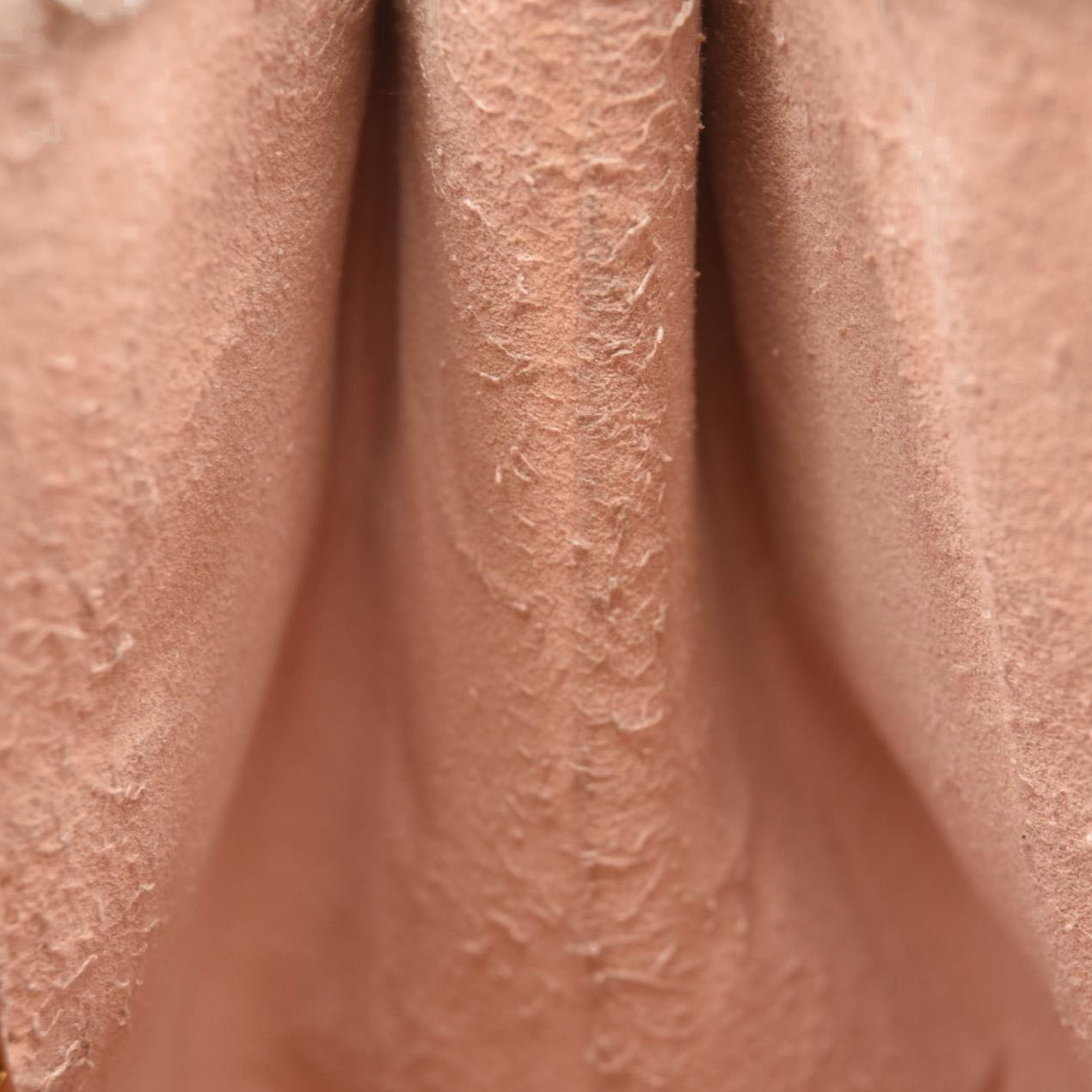 Louis Vuitton Damier Ebene Caissa Hobo Rose Ballerine