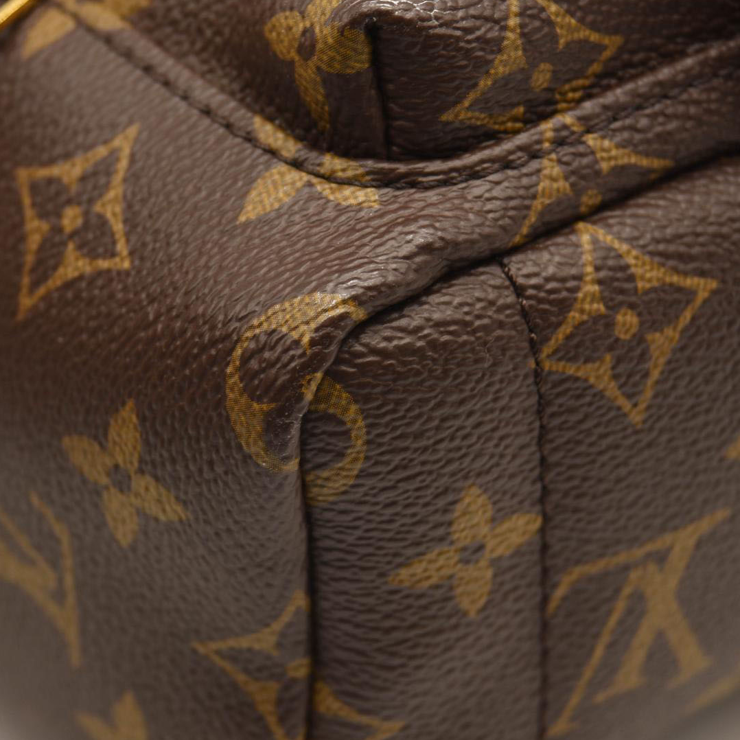 $2440 LOUIS VUITTON Monogram Palm Springs Backpack Mini CA2137