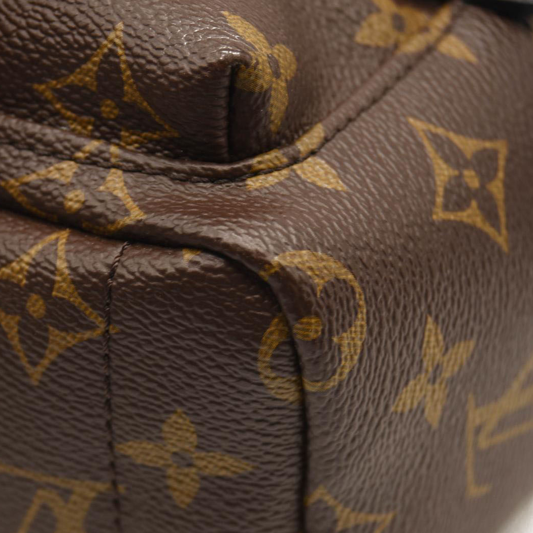 $2440 LOUIS VUITTON Monogram Palm Springs Backpack Mini CA2137