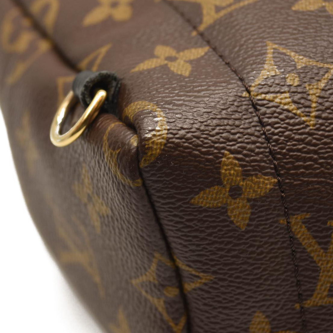 $2440 LOUIS VUITTON Monogram Palm Springs Backpack Mini CA2137