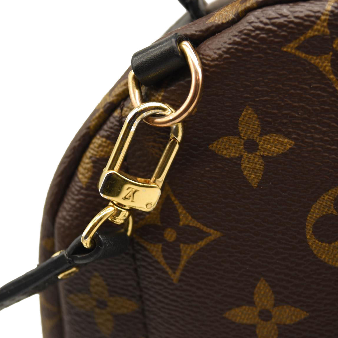 $2440 LOUIS VUITTON Monogram Palm Springs Backpack Mini CA2137