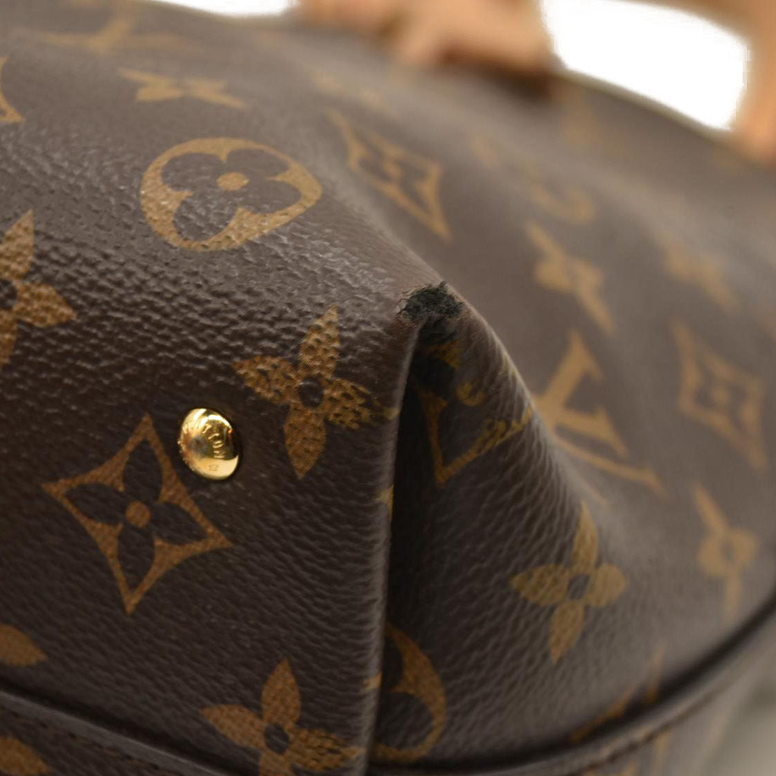 Louis Vuitton  Monogram Moon Backpack