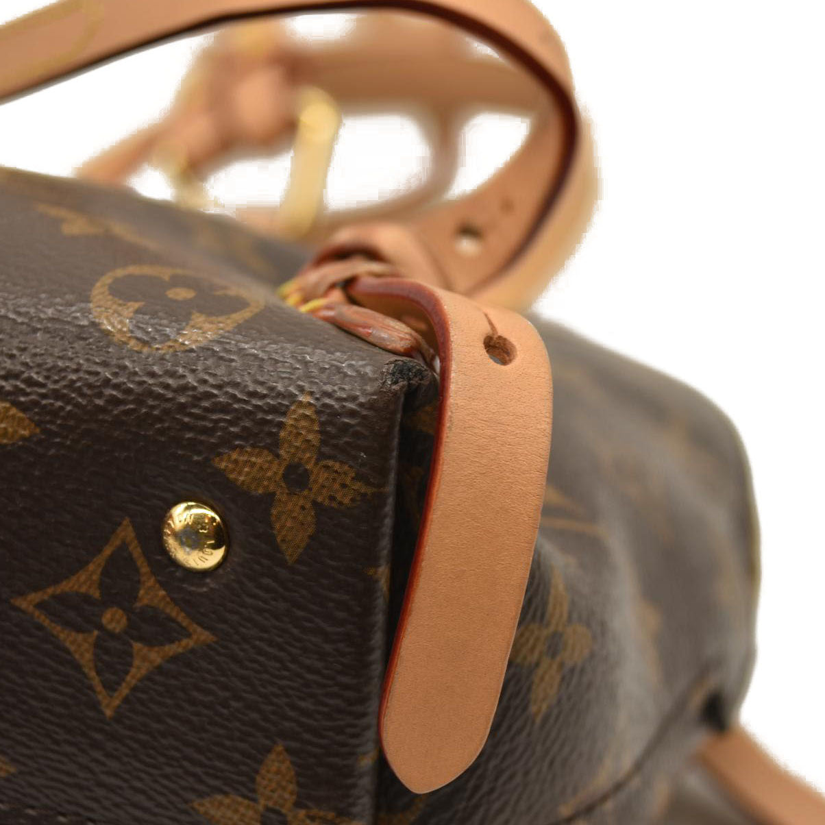 Louis Vuitton  Monogram Moon Backpack