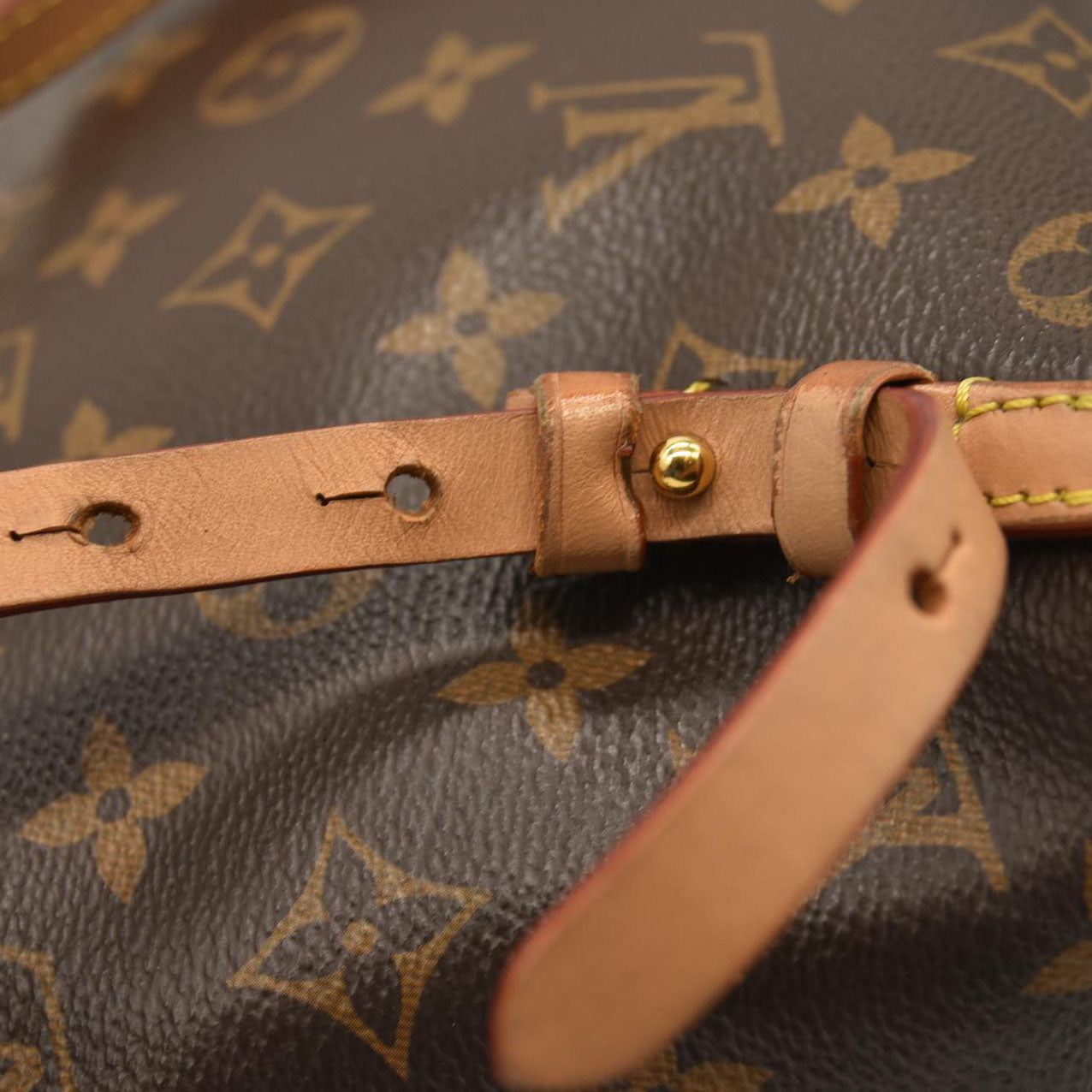 Louis Vuitton  Monogram Moon Backpack