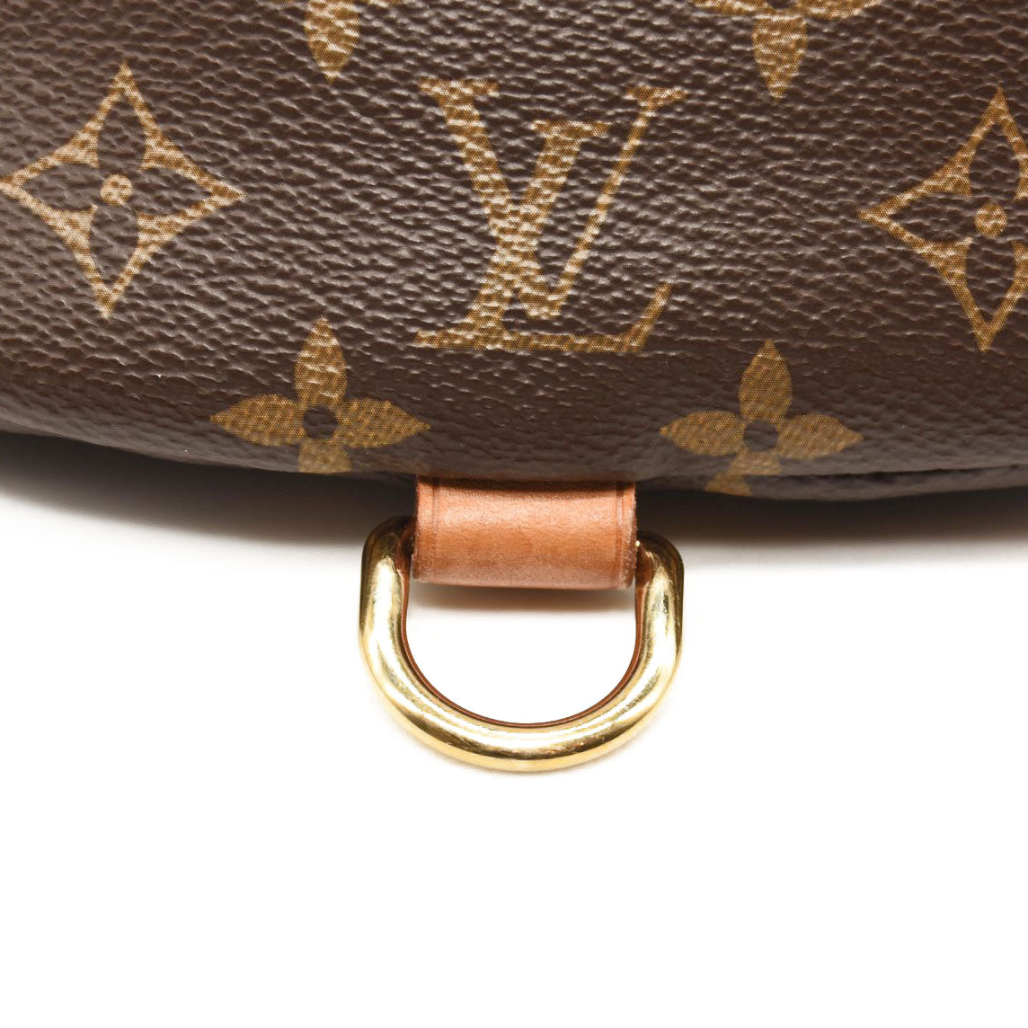 LOUIS VUITTON Monogram Bumbag