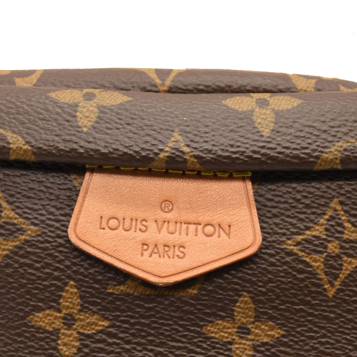 LOUIS VUITTON Monogram Bumbag