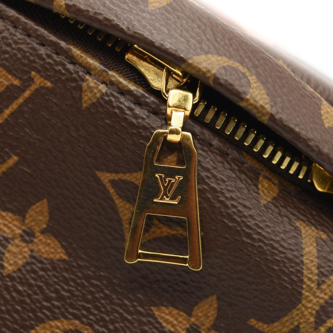 LOUIS VUITTON Monogram Bumbag