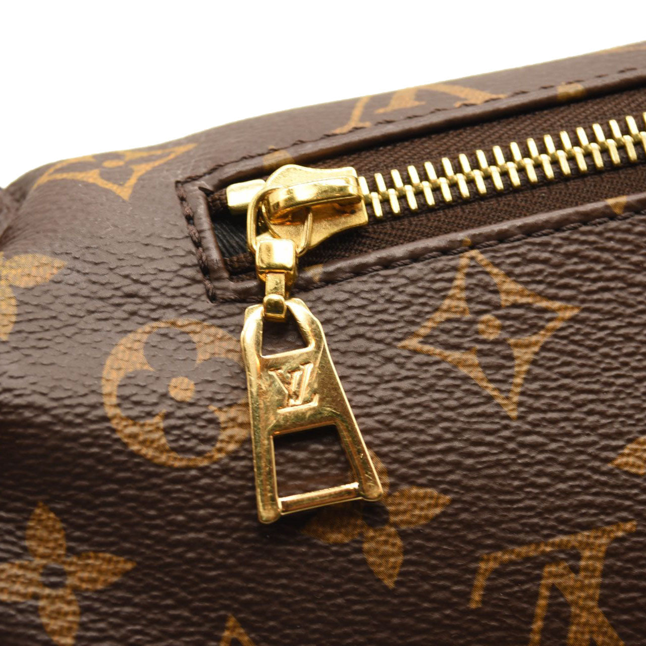 LOUIS VUITTON Monogram Bumbag