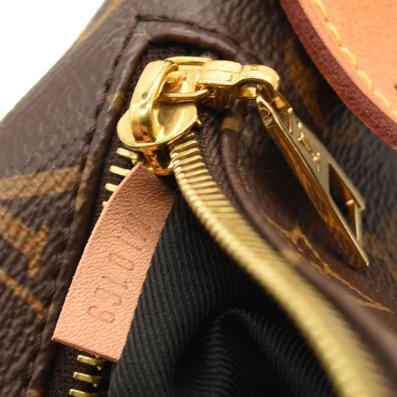 LOUIS VUITTON Monogram Bumbag