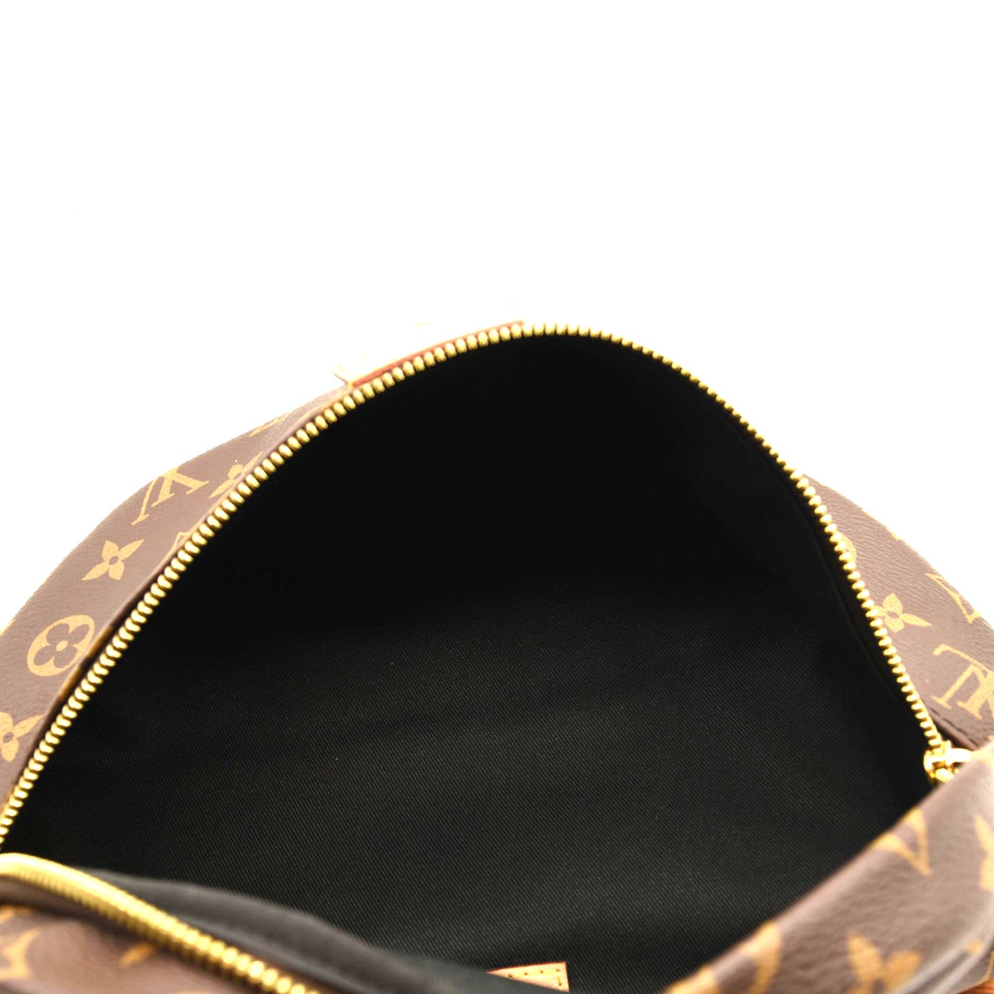 LOUIS VUITTON Monogram Bumbag