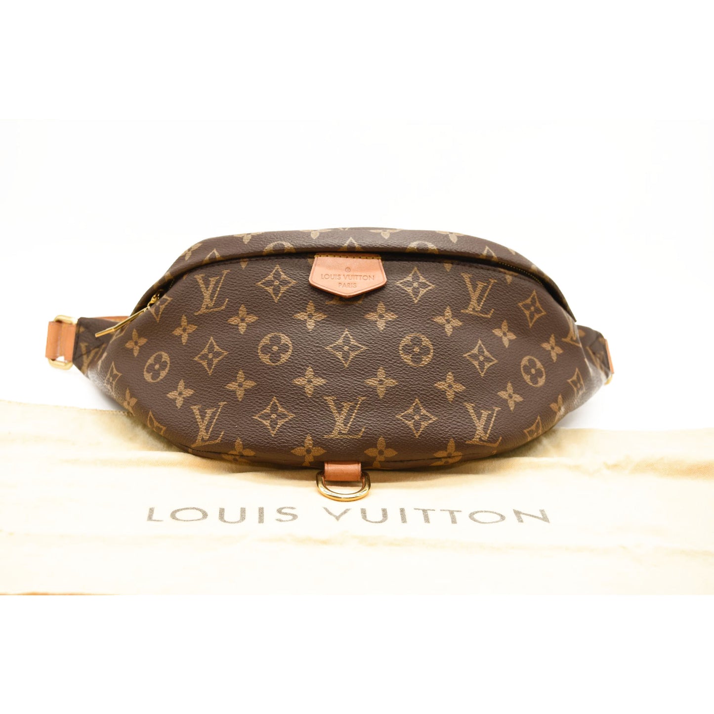 LOUIS VUITTON Monogram Bumbag