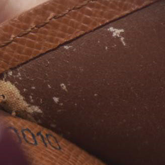 Louis Vuitton Monogram Porte Monnaie Billets Viennois Bifold Wallet CA0010