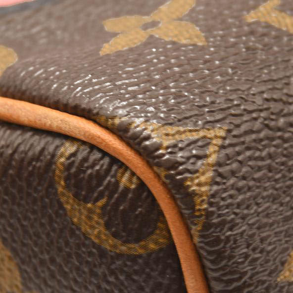 LOUIS VUITTON Monogram World Tour Nano Speedy