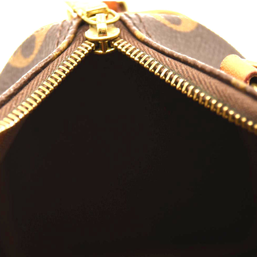 LOUIS VUITTON Monogram World Tour Nano Speedy