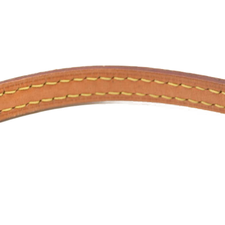 LOUIS VUITTON Monogram World Tour Nano Speedy