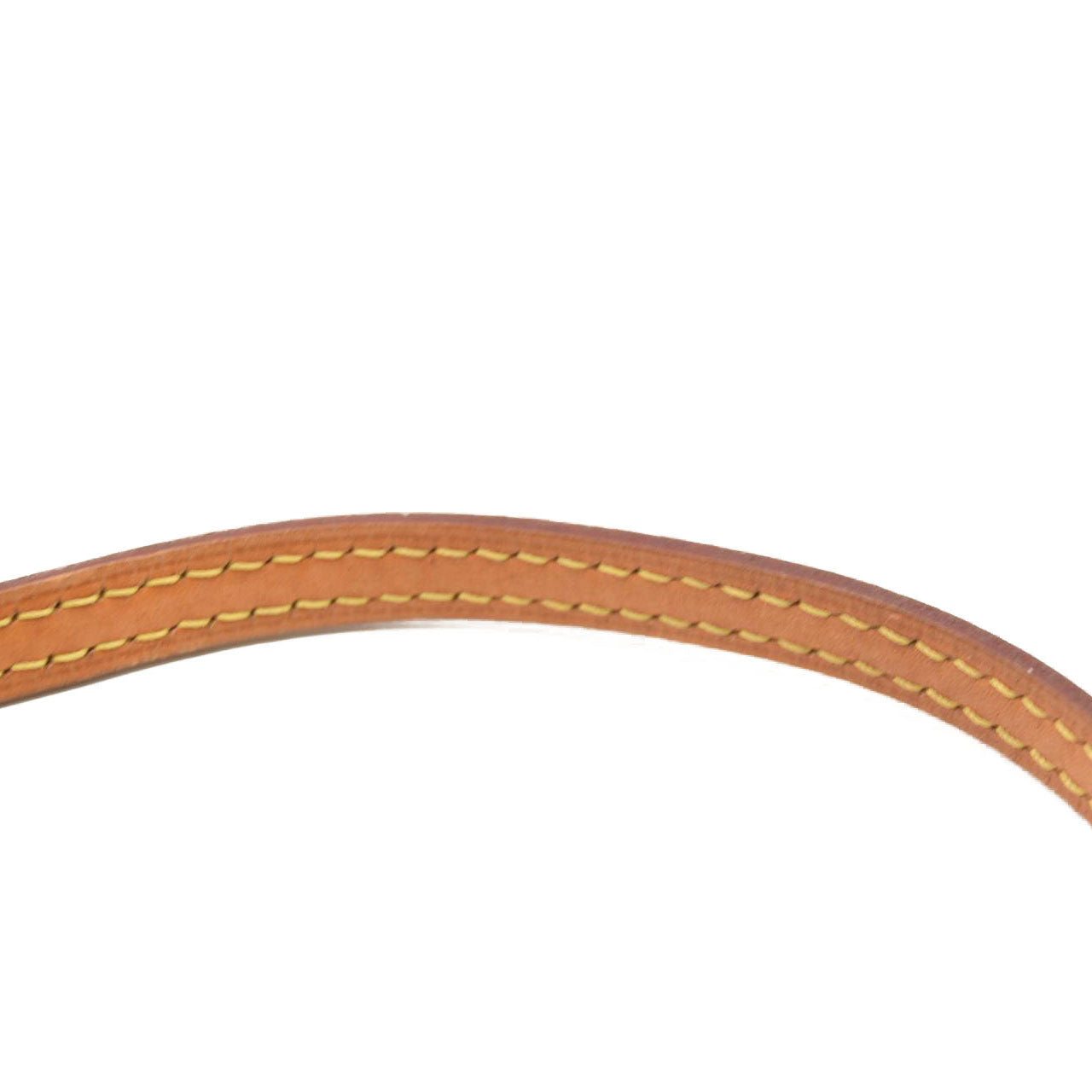 LOUIS VUITTON Monogram World Tour Nano Speedy