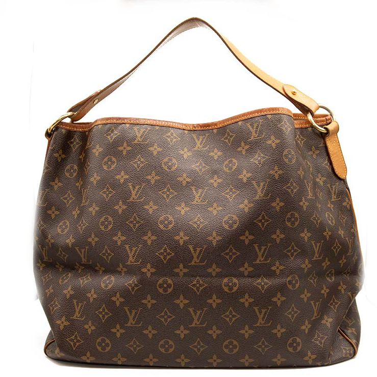 Louis Vuitton Monogram Delightful GM Hobo