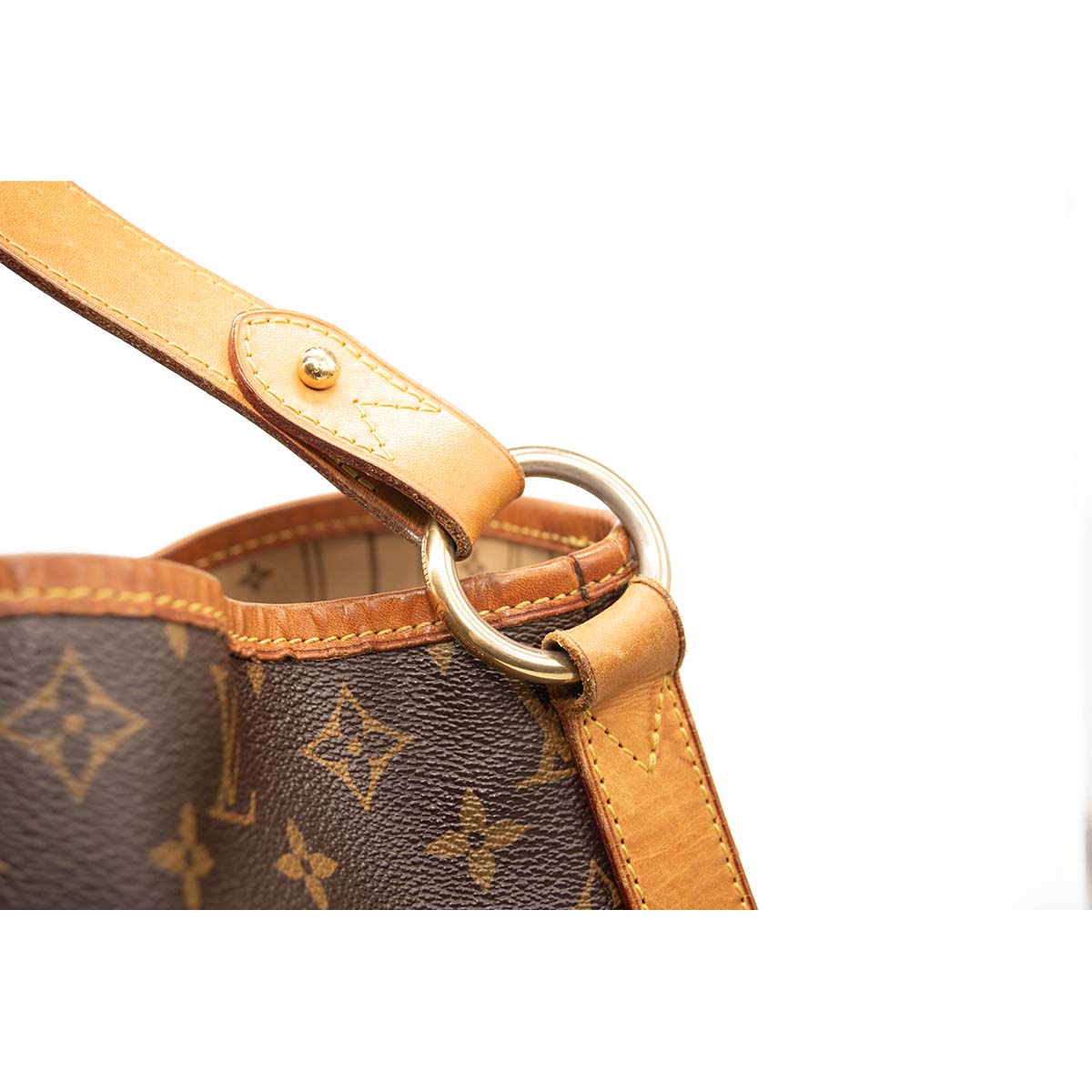 Louis Vuitton Monogram Delightful GM Hobo