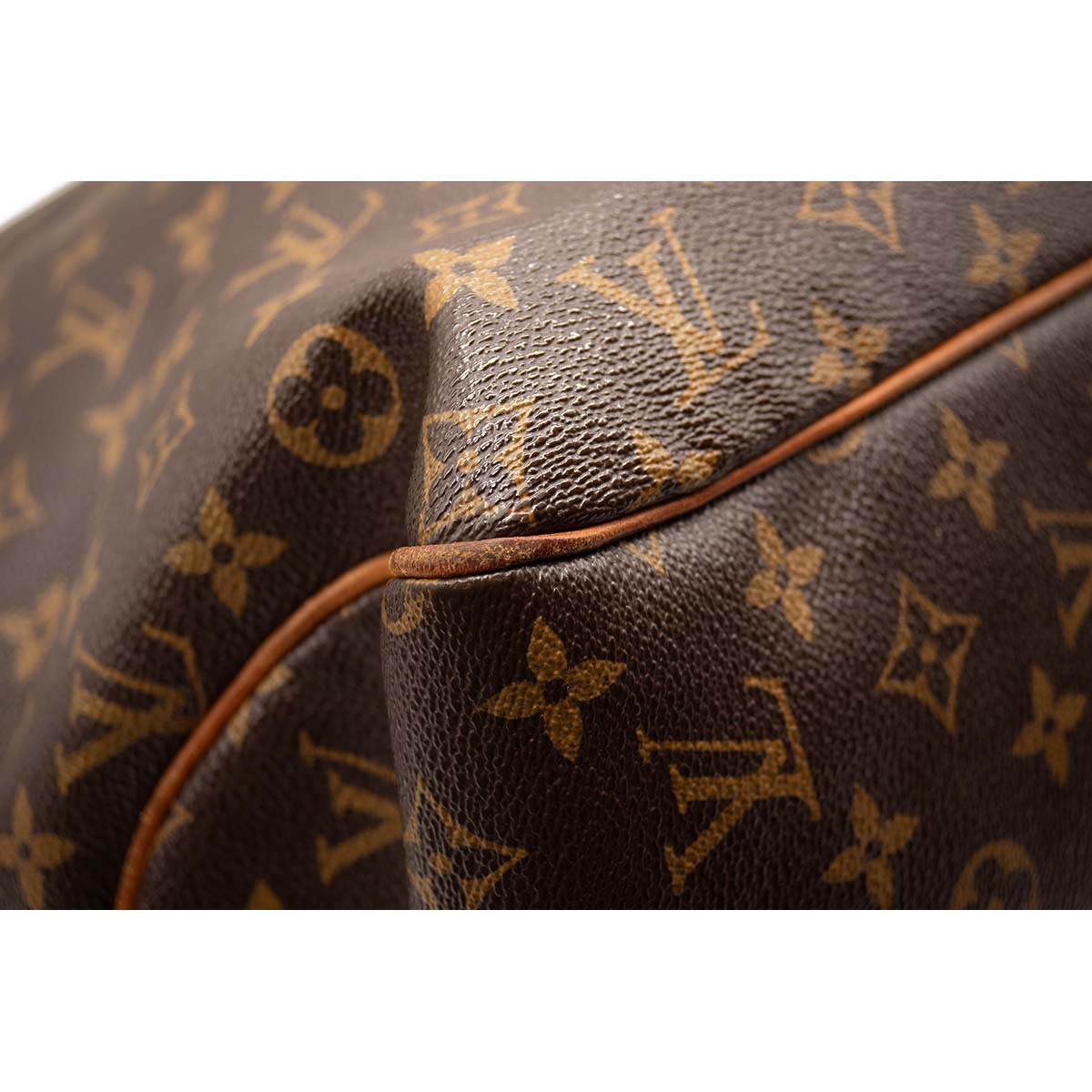 Louis Vuitton Monogram Delightful GM Hobo