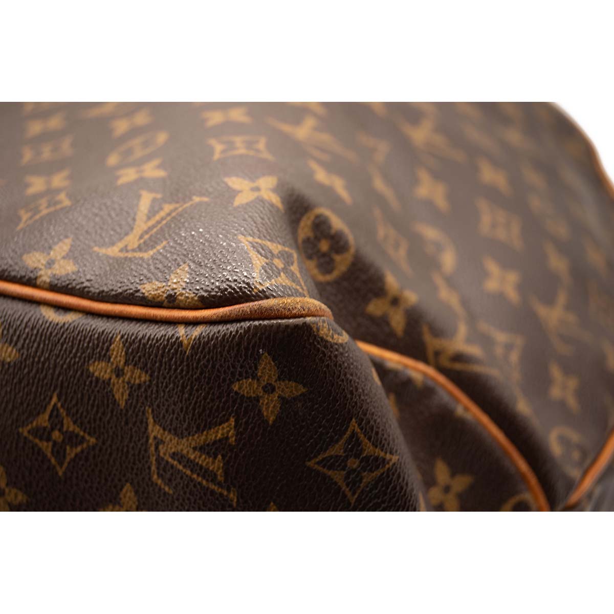 Louis Vuitton Monogram Delightful GM Hobo