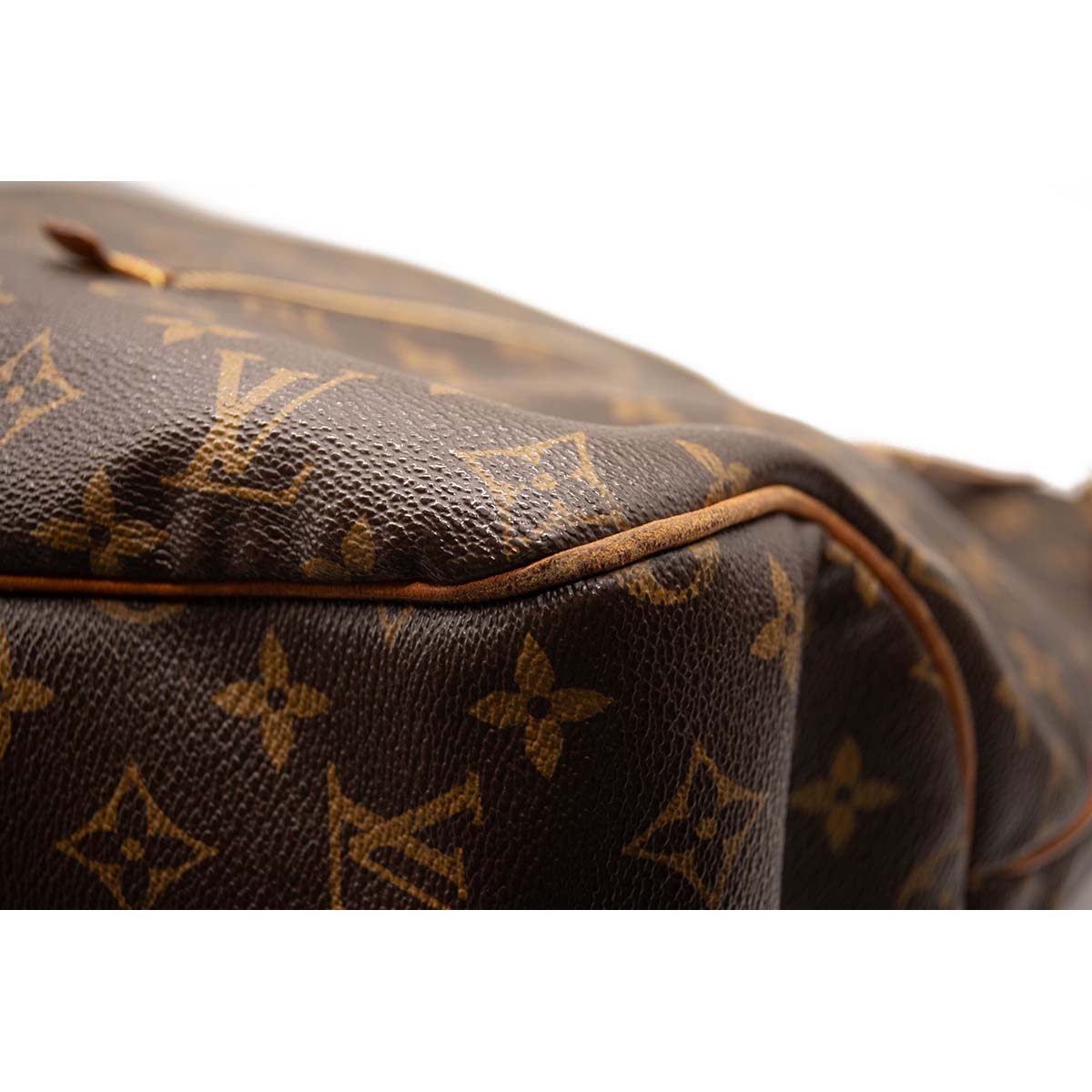 Louis Vuitton Monogram Delightful GM Hobo