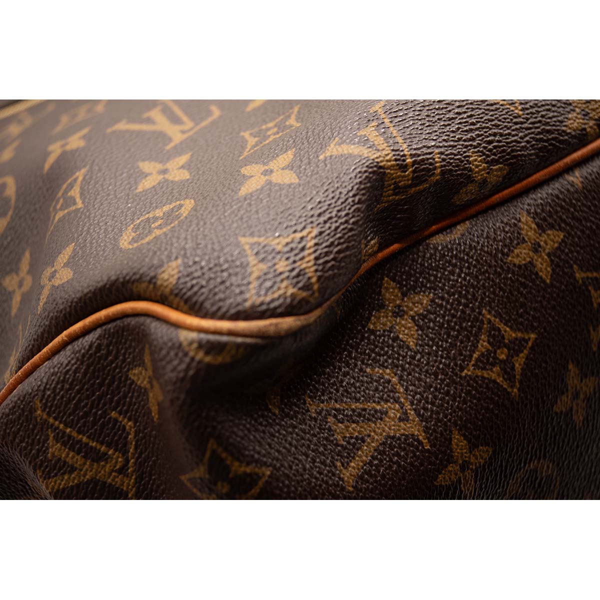 Louis Vuitton Monogram Delightful GM Hobo